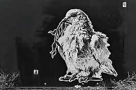 Bernhard Saalfeld - Hard Times